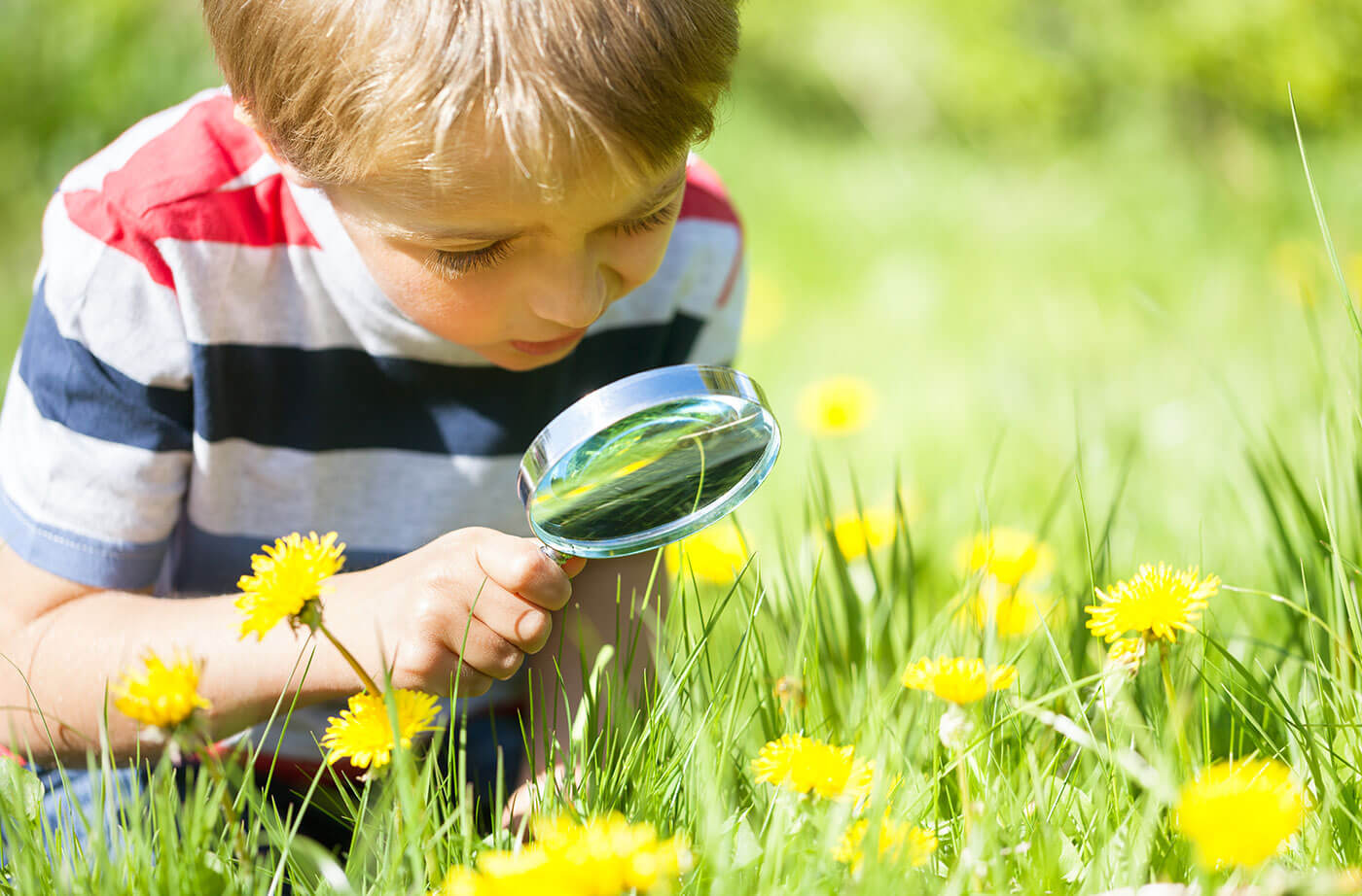 Sligo is Buzzing for National Biodiversity Week!